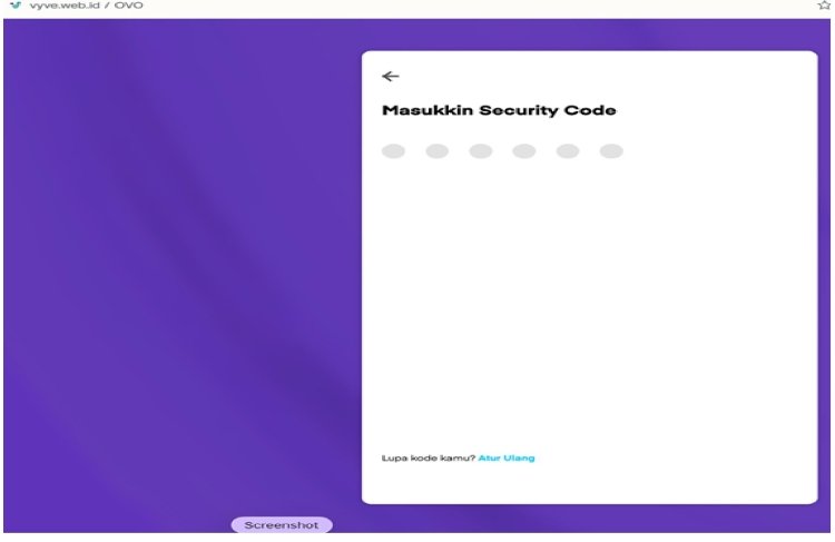 BI dan Pengelola Harus Serius Berantas Penipuan Paylater dan e-Wallet