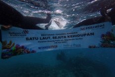 TelkomGroup Tanam 2.000 Fragmen Karang di Kepulauan Seribu