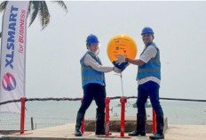XLSMART Bangun Kabel Laut 8.000 Km Hubungkan Indonesia ke Jepang 