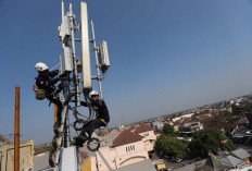 Trafik Internet Jogja–Solo Naik 17%, XLSMART Perluas 5G
