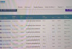 3 Perusahaan Pasarkan iPhone Duo, 18 Pro, dan 18 Pro Max, di Indonesia